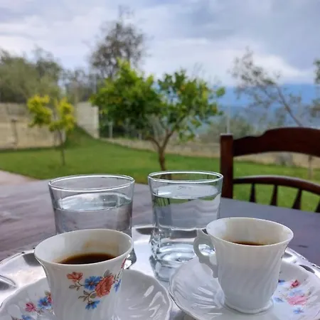 Gorani Guest house *
