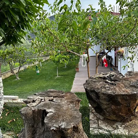 Gorani * Berat